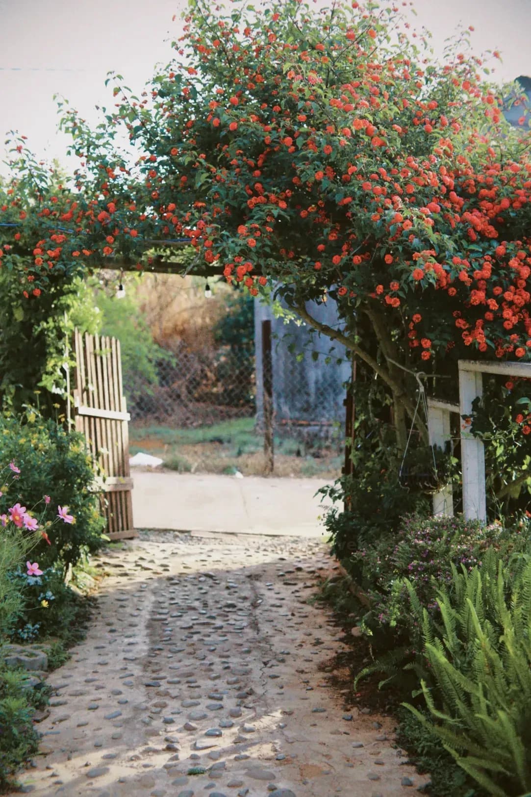 Green Haven Gardens 1